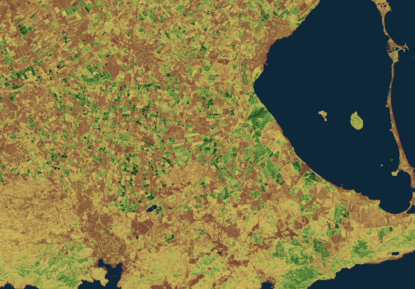 Mapa NDVI real del campo de Cartagena y el Mar Menor calculado sobre una escena de Sentinel-2